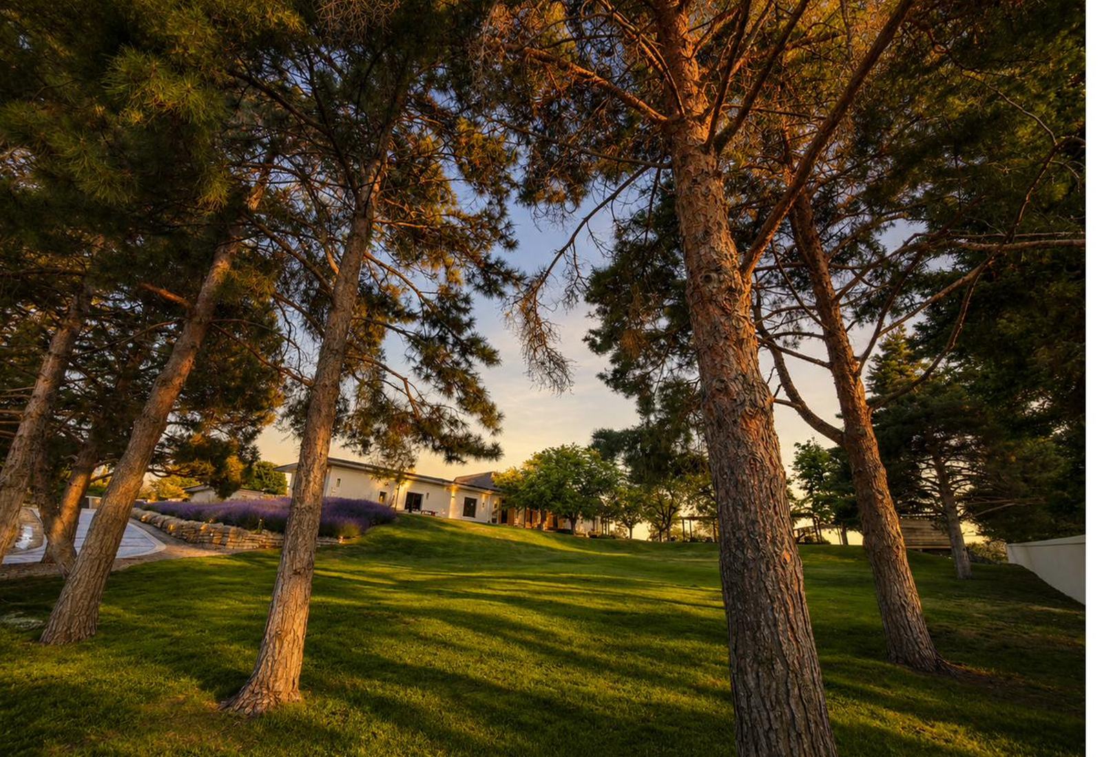 Memory care facility for sale in Boise, Idaho — single-level residence and secure walled grounds