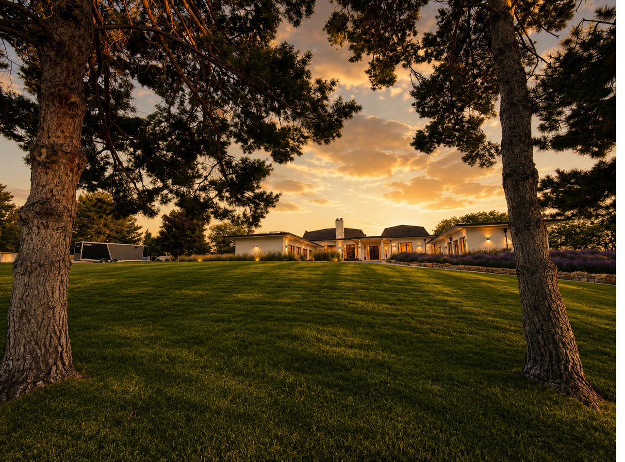 Open southern lawn at sunset beneath mature pines