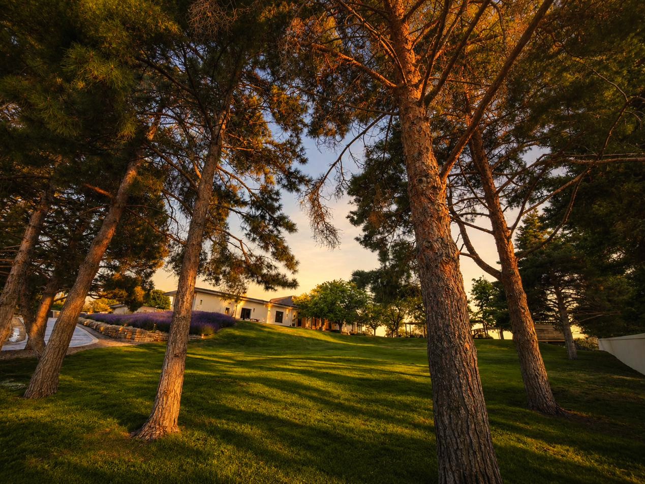Sunset over the west approach to the estate beneath Table Rock